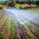 Experts push for sustainable irrigation development