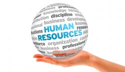Human resource management: Midyear review (1)