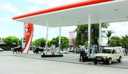 Non-essential petrol sales halted for two weeks in Sri Lanka