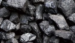 Contango makes headway in Muchesu coal project