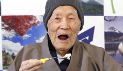 Japan population: One in 10 people now aged 80 or…