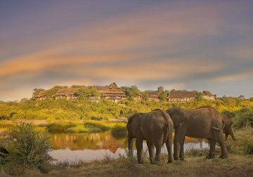 "Those lucky to choose Safari Club for their stay in Victoria Falls never regret it."