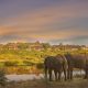 "Those lucky to choose Safari Club for their stay in Victoria Falls never regret it."