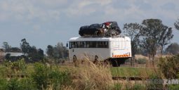 chicken bus travelling