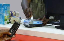 EcoCash Debit Card