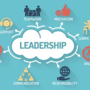 Leadership and effective team-work skills