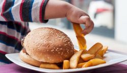 Eating disorder group pulls chatbot sharing diet advice