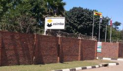 Masimba to start sale of serviced stands
