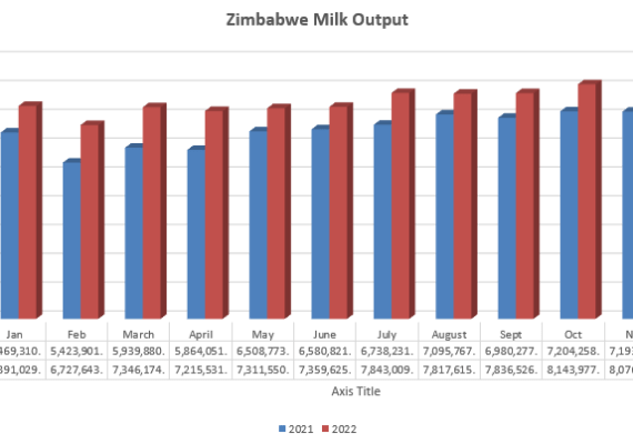 Zimbabwe sets new milk output target