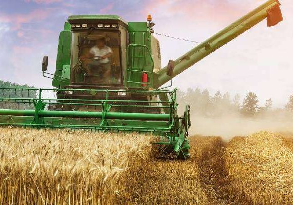 Zimbabwe to surpass wheat target