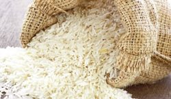 Zimbabwe steps up bid to cut rice imports