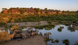 Victoria Falls Safari Lodge Will Soon Have a Fresh New…