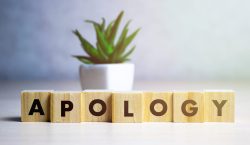 Apology