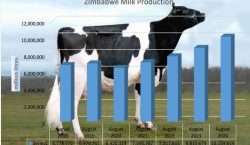 Milk production hits 7-year high